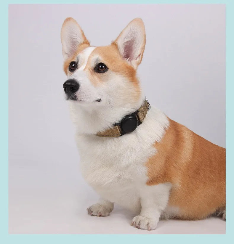 Reflective Dog Collar Adjustable Comfortable Pet Collars with Buckle for Medium Dogs AirTag Dog Collar