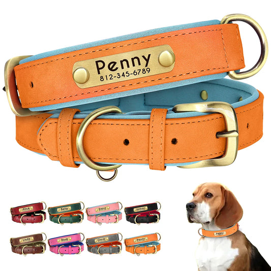 Personalized PU Leather Padded Dog Collar Customized ID Nameplate Pet Collar For Small Medium Dogs Durable Necklaces Accessories