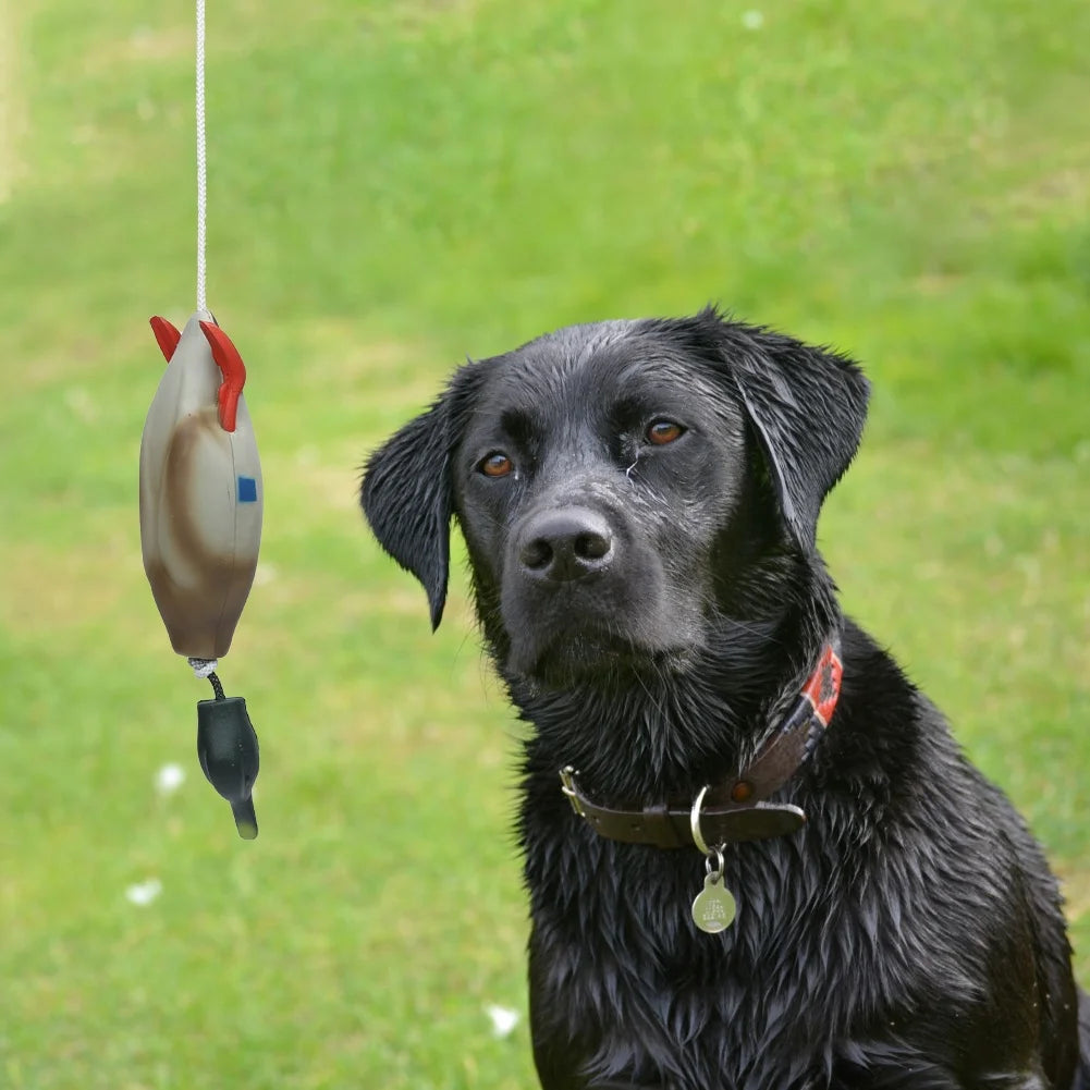 Duck Bumper Toy for Hunting Dogs, Mallard Bird Dummy for Waterfowl Retrieval Training