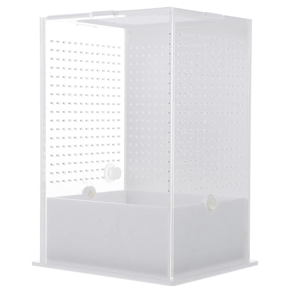 Praying Mantis Breeding Box Acrylic Clear Terrarium Cage For Spiders Geckos Reptile Habitat Breeding Box Plant Landscape Villa