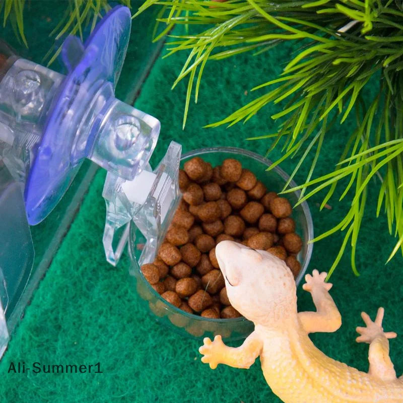 【E】Reptile Water Food Bowl Suction Cup Food Tray Gecko Reptile Lizards Spider Tree Frogs Feeder Habitat Decoration Pet Supplies