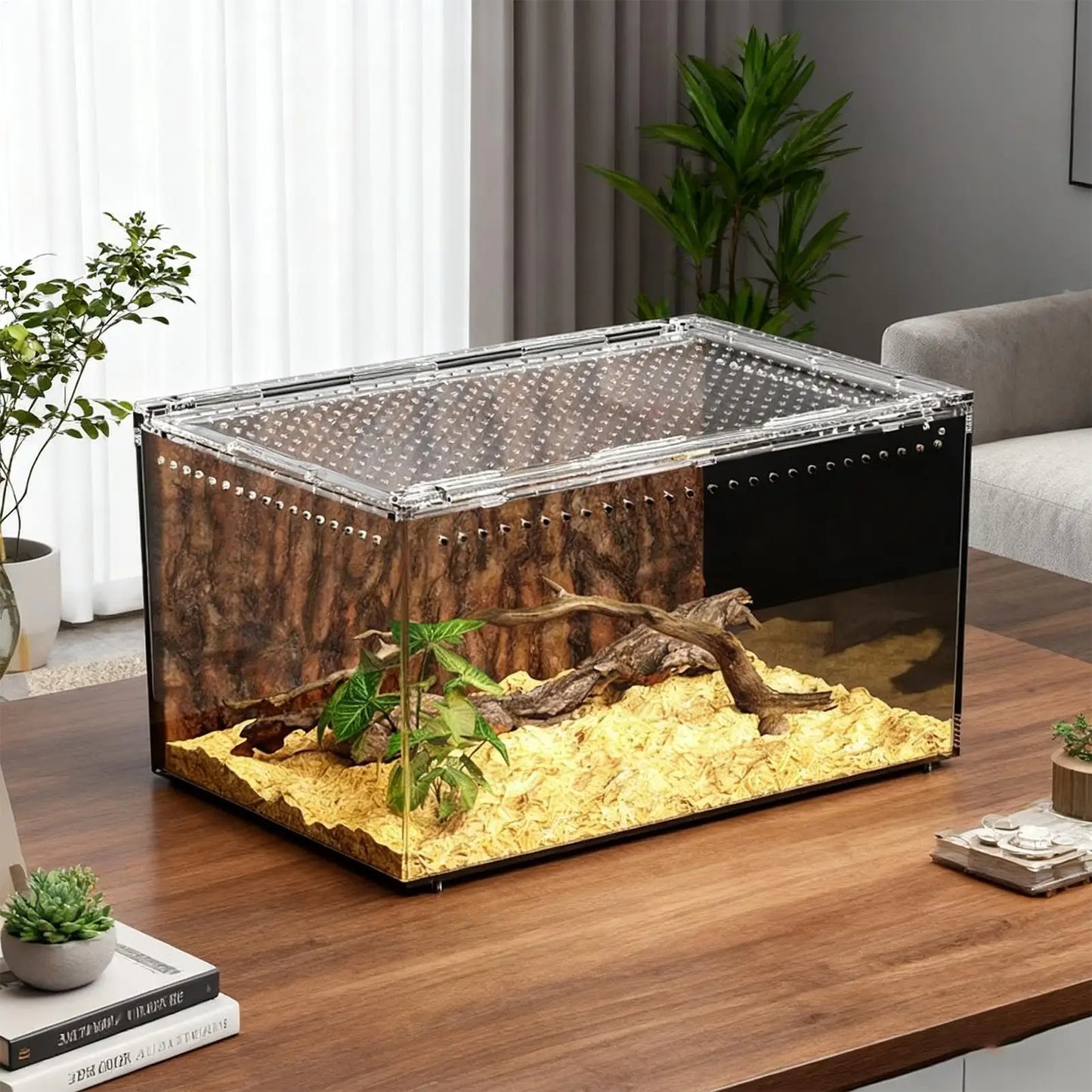 Spider Enclosure Transparent Reptile Terrarium Tank Habitat with Ventilation for Tarantula Gecko Snake Frog Scorpion Lizard