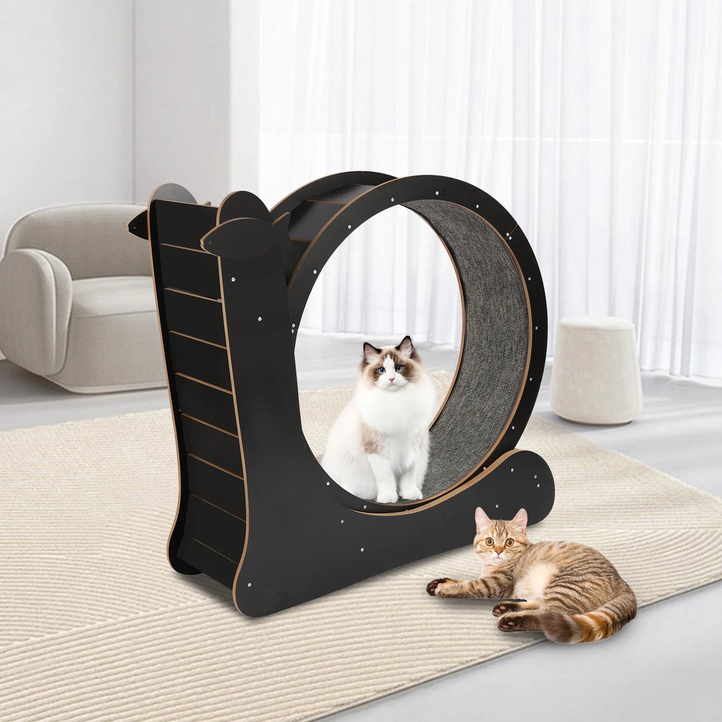 Cat Exercise Wheel, Large Cat Treadmill With Carpet Runway For Indoor Cats