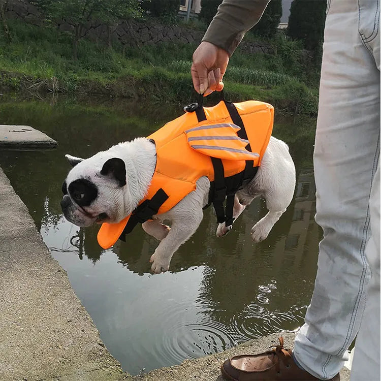 Dog Safety Life Jacket 🐶🦺🌊