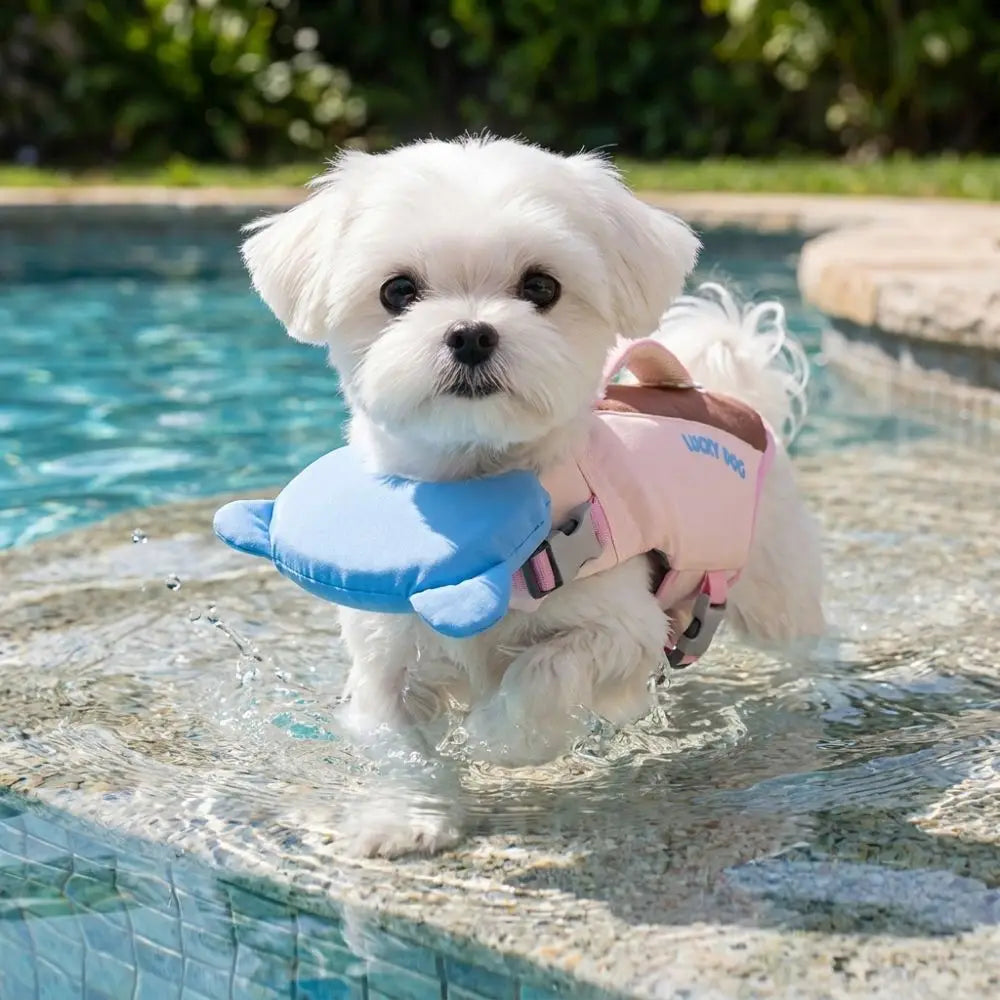 Strong Buoyancy Dog Life Jacket Adjustable Breathable Dog Swimming Suit Quick Drying Waterproof Dog Life Preserver Boating