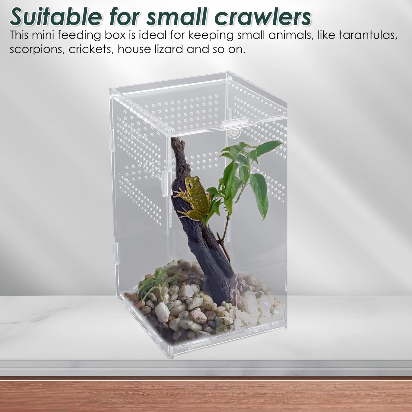 Reptiles Terrarium Enclosure Acrylic Reptile Habitat Terrarium Breeding Box Transparent Spider Scorpion Bearded Dragon Habitat