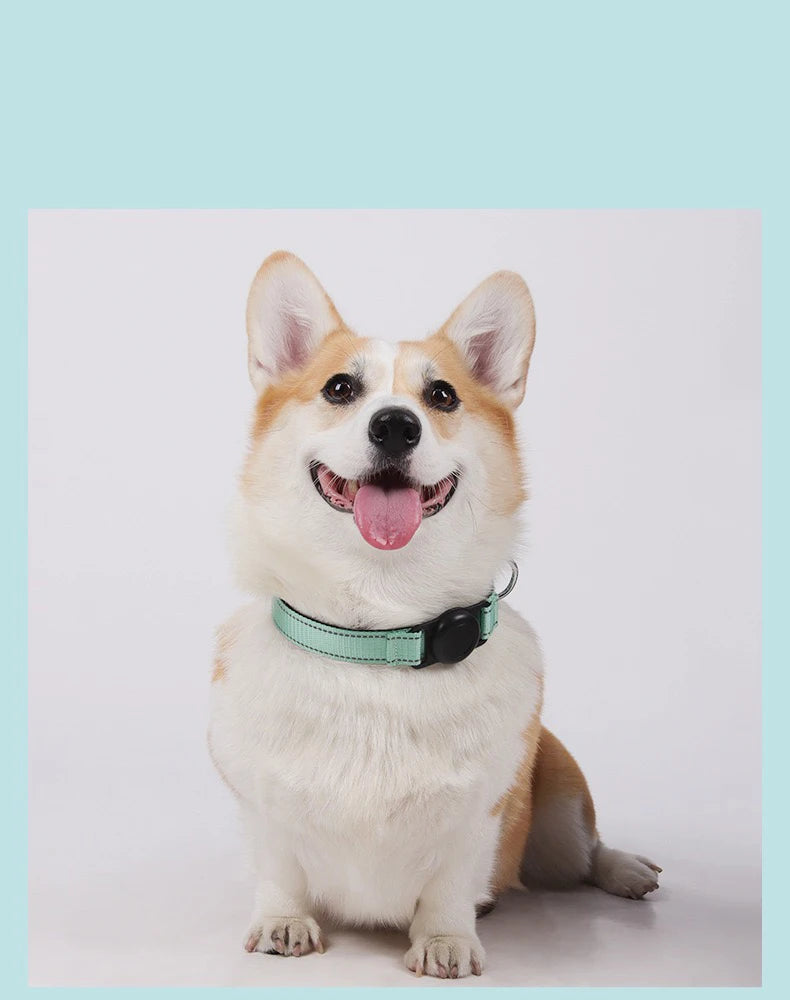 Reflective Dog Collar Adjustable Comfortable Pet Collars with Buckle for Medium Dogs AirTag Dog Collar