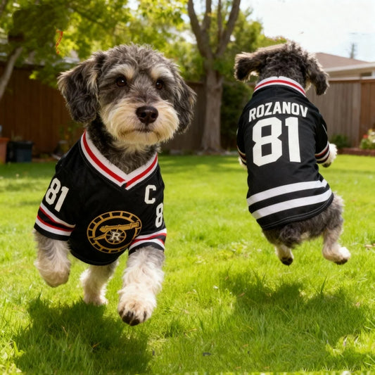 Hollander #24 Pet Jersey 🏒🐶🔥