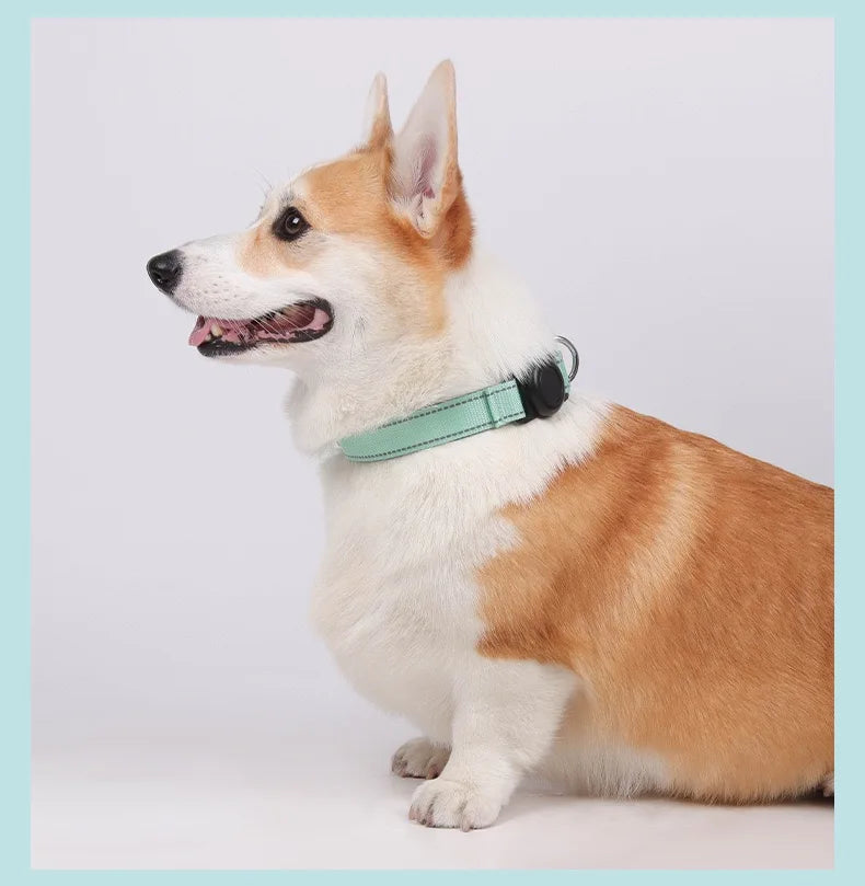 Reflective Dog Collar Adjustable Comfortable Pet Collars with Buckle for Medium Dogs AirTag Dog Collar