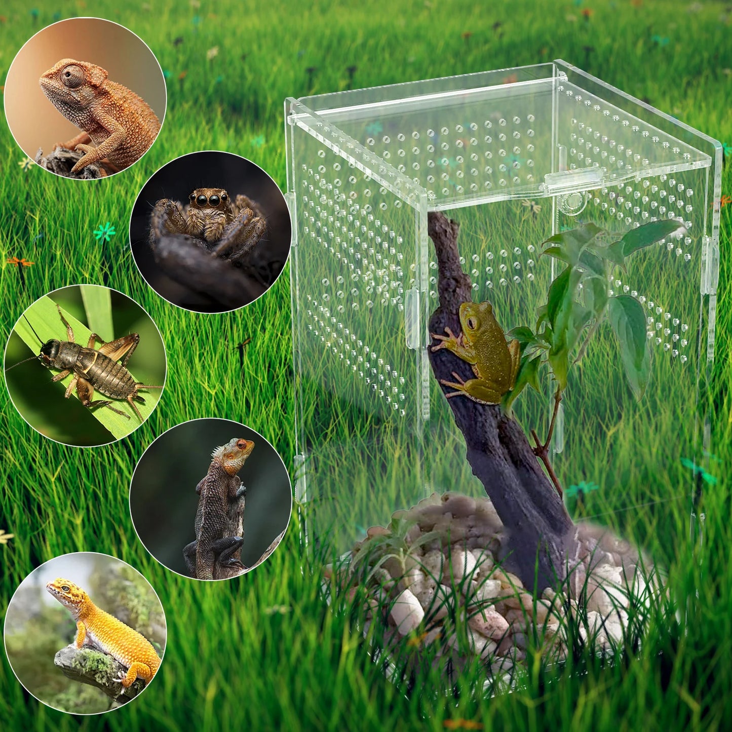 Reptiles Terrarium Enclosure Acrylic Reptile Habitat Terrarium Breeding Box Transparent Spider Scorpion Bearded Dragon Habitat