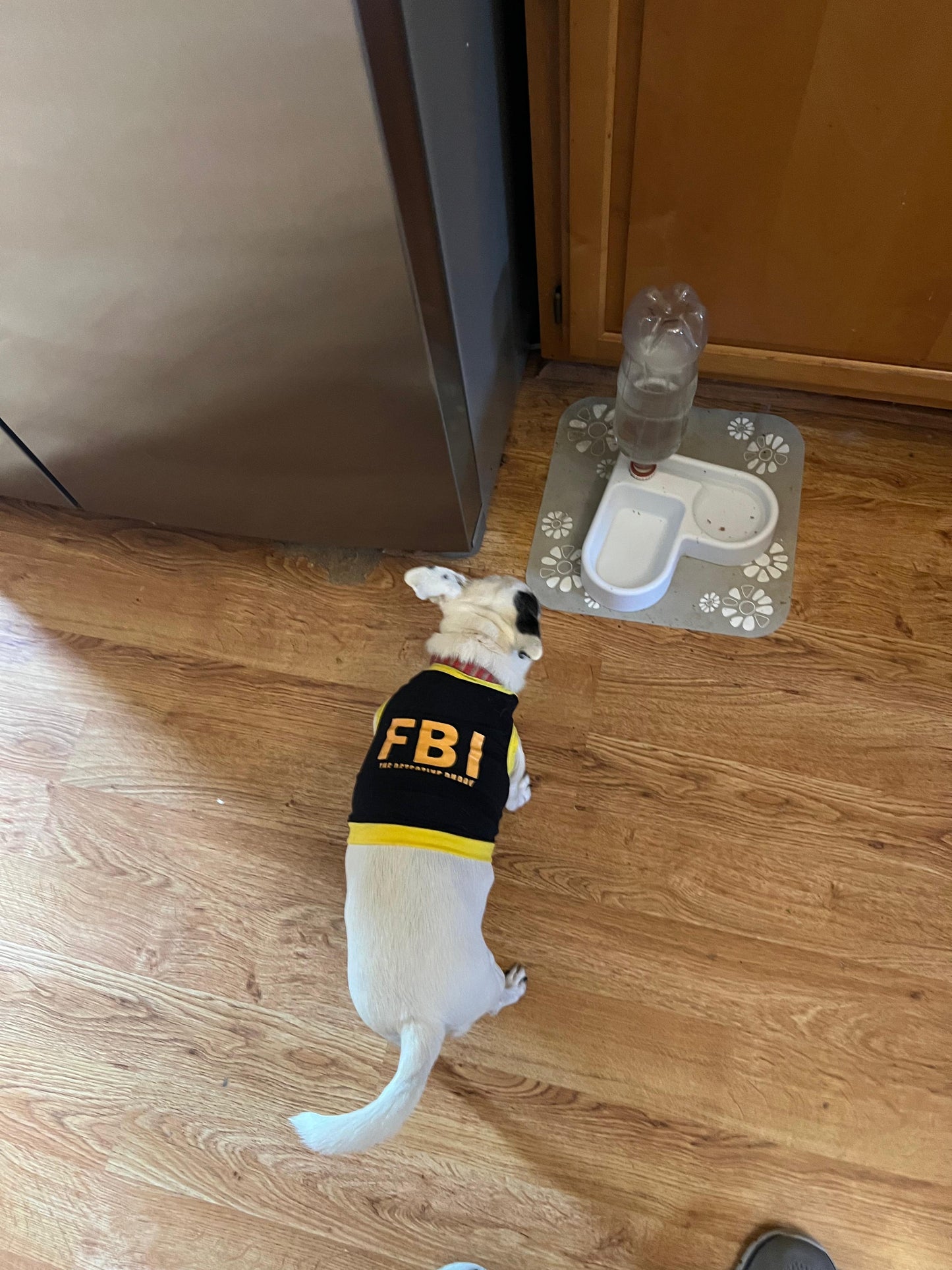 FBI Camouflage Dog Vest 🐶🕶️👕